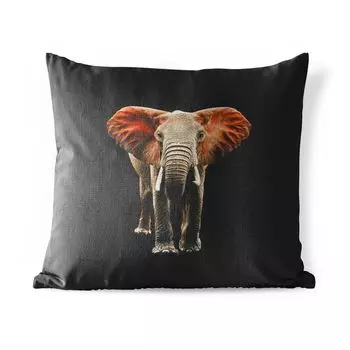 Подушка для улицы MuchoWow - слон - животные - зубы - 50x50 см - устойчивая к атмосферным воздействиям - подушка для отдыха - чехол для подушки - хлопчатобумажная ткань - декоративные чехлы для подушек, мультиколор