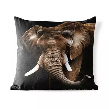 Подушка для улицы MuchoWow - слон - животные - зубы - 40x40 см - устойчивая к атмосферным воздействиям - подушка для отдыха - чехол для подушки - хлопчатобумажная ткань - декоративные чехлы для подушек, мультиколор