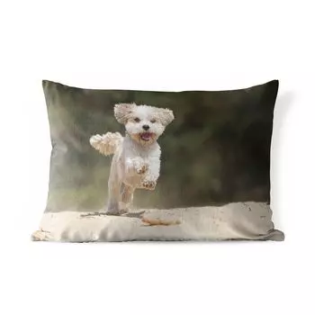 Подушка для улицы MuchoWow — Собака ши-тцу прыгает по желтому песку — 50x30 см — Устойчивость к атмосферным воздействиям — Подушка для отдыха — Чехол на подушку — Хлопчатобумажная ткань — Декоративные наволочки, мультиколор