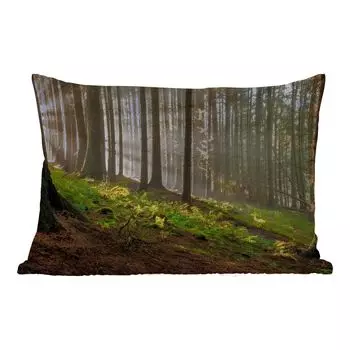 Подушка для улицы MuchoWow - Солнце - Ветки - Деревья - Лес - Природа - 60x40 см - Устойчивость к атмосферным воздействиям - Подушка для отдыха - Чехлы для подушек - Декоративные чехлы для подушек - Декоративные чехлы для подушек, мультиколор