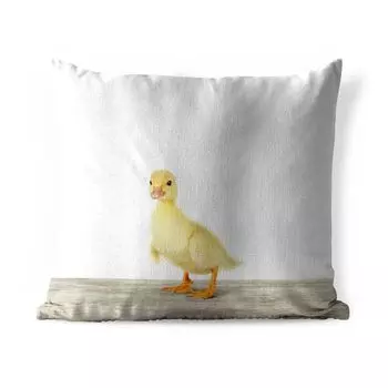 Подушка для улицы MuchoWow - Утка - Цыплята - Животные - Сладкие - Девочки - Мальчики - Дети - 40x40 см - Устойчивость к атмосферным воздействиям - Подушка для отдыха - Чехол на подушку - Хлопчатобумажная ткань - Декоративные наволочки, мультико...