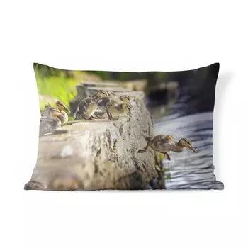 Подушка для улицы MuchoWow - Утки - Камни - Цыплята - 60x40 см - Устойчивость к атмосферным воздействиям - Подушки для отдыха - Чехлы для подушек - Декоративные чехлы для подушек - Декоративные чехлы для подушек, мультиколор