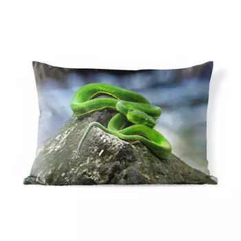Подушка для улицы MuchoWow - Зеленая змея на камне - 60x40 см - Устойчивость к атмосферным воздействиям - Подушка для отдыха - Чехлы для подушек - Декоративные чехлы для подушек - Декоративные чехлы для подушек, мультиколор