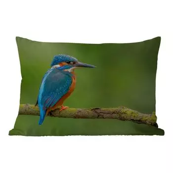 Подушка для улицы MuchoWow - Зимородок - Ветка - Мох - Птица - Зеленый - 60x40 см - Устойчивость к атмосферным воздействиям - Подушка для отдыха - Чехлы для подушек - Декоративные чехлы для подушек - Декоративные чехлы для подушек, мультиколор