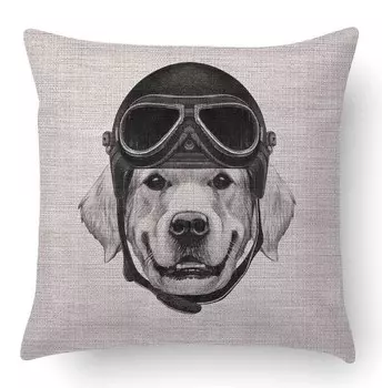 Подушка Dmora mit Digitaldruck, 40x5x40 см, многоцветный