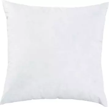 Подушка Erwin Mllerfllung 200989, 40x1x40 см, белый