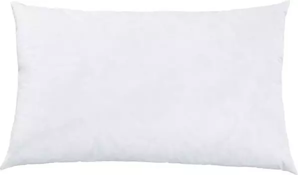 Подушка Erwin Mllerfllung 200989, 40x1x60 см, белый