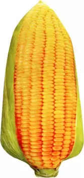 Подушка Hameb