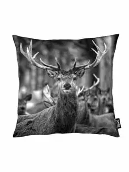 Подушка Juniqe, красочный