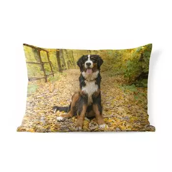 Подушка MuchoWow для улицы - Бернский зенненхунд с красивыми осенними листьями - 60x40 см - Устойчивость к атмосферным воздействиям - Подушка для отдыха - Чехлы для подушек - Декоративные чехлы для подушек - Декоративные чехлы для подушек, мульт...