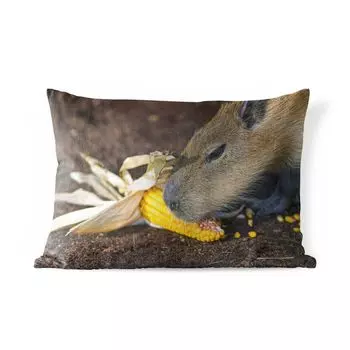 Подушка MuchoWow для улицы — Капибара ест крупным планом — 50x30 см — Устойчивость к атмосферным воздействиям — Подушка для отдыха — Чехол на подушку — Хлопчатобумажная ткань — Декоративные чехлы на подушки, мультиколор