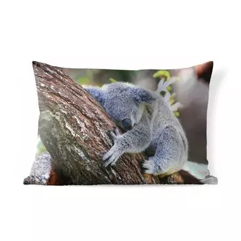 Подушка MuchoWow для улицы - коала - сундучок - мягкая игрушка - для мальчиков - девочек - 50x30 см - защита от атмосферных воздействий - подушка для отдыха - чехол на подушку - хлопчатобумажная ткань - декоративные чехлы на подушки, мультиколор