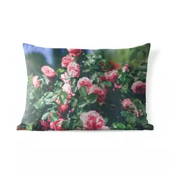 Подушка MuchoWow для улицы — Красивая розовая роза в летнем саду — 50x30 см — Устойчивость к атмосферным воздействиям — Подушка для отдыха — Чехол на подушку — Хлопчатобумажная ткань — Декоративные наволочки, мультиколор