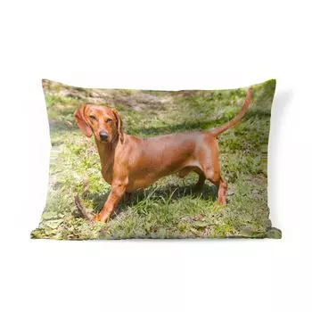 Подушка MuchoWow для улицы - Красивая такса на солнечном лугу - 60x40 см - Устойчивость к атмосферным воздействиям - Подушка для отдыха - Чехлы для подушек - Декоративные чехлы для подушек - Декоративные чехлы для подушек, мультиколор