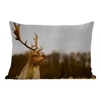 Подушка MuchoWow для улицы - Лань - Лес - Стадо - Животные - Природа - 50x30 см - Устойчивость к атмосферным воздействиям - Подушка для отдыха - Чехол на подушку - Хлопчатобумажная ткань - Декоративные наволочки, мультиколор