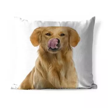 Подушка MuchoWow для улицы — Лизающий золотистый ретривер на белом фоне — 50x50 см — Устойчивость к атмосферным воздействиям — Подушка для отдыха — Чехол на подушку — Хлопчатобумажная ткань — Декоративные наволочки, мультиколор