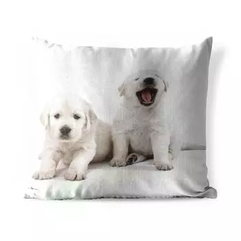 Подушка MuchoWow для улицы - Портрет щенков золотистого ретривера - 45x45 см - Устойчивость к атмосферным воздействиям - Подушка для отдыха - Чехлы для подушек - Декоративные чехлы для подушек - Декоративные чехлы для подушек, мультиколор