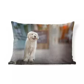 Подушка MuchoWow для улицы — Щенок золотистого ретривера, бегущий по тротуару — 60x40 см — Устойчивость к атмосферным воздействиям — Подушки для отдыха — Чехлы для подушек — Декоративные чехлы для подушек — Декоративные чехлы для подушек, мульти...