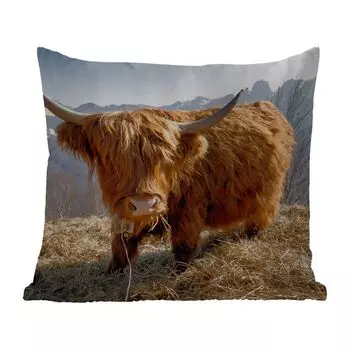 Подушка MuchoWow для улицы - Шотландский горец - Гора - Снег - 45x45 см - Устойчивость к атмосферным воздействиям - Подушка для отдыха - Чехлы для подушек - Декоративные чехлы для подушек - Декоративные чехлы для подушек, мультиколор