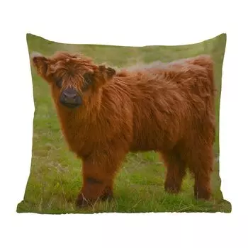 Подушка MuchoWow для улицы - Шотландский горец - Легкий - Пальто - 50x50 см - Устойчивость к атмосферным воздействиям - Подушка для отдыха - Чехол на подушку - Хлопчатобумажная ткань - Декоративные чехлы на подушки, мультиколор