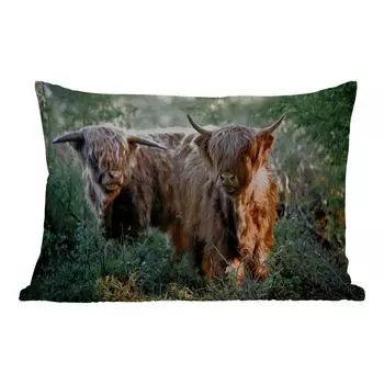 Подушка MuchoWow для улицы - Шотландский горец - Лес - Животные - 60x40 см - Устойчивость к атмосферным воздействиям - Подушка для отдыха - Чехлы для подушек - Декоративные чехлы для подушек - Декоративные чехлы для подушек, мультиколор