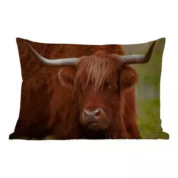 Подушка MuchoWow для улицы - Шотландский горец - Оранжевый - Животные - 60x40 см - Устойчивость к атмосферным воздействиям - Подушка для отдыха - Чехлы для подушек - Декоративные чехлы для подушек - Декоративные чехлы для подушек, мультиколор