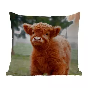 Подушка MuchoWow для улицы - Шотландский горец - Теленок - Трава - 60x60 см - Устойчивость к атмосферным воздействиям - Подушка для отдыха - Чехлы для подушек - Декоративные чехлы для подушек - Декоративные чехлы для подушек, мультиколор