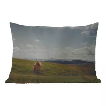 Подушка MuchoWow для улицы - Шотландский горец - Трава - Облака - Животные - 60x40 см - Устойчивость к атмосферным воздействиям - Подушка для отдыха - Чехлы для подушек - Декоративные чехлы для подушек - Декоративные чехлы для подушек, мультикол...