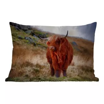 Подушка MuchoWow для улицы - Шотландский горец - Трава - Камни - 60x40 см - Устойчивость к атмосферным воздействиям - Подушка для отдыха - Чехлы для подушек - Декоративные чехлы для подушек - Декоративные чехлы для подушек, мультиколор