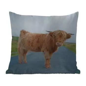 Подушка MuchoWow для улицы - Шотландский горец - Улица - Трава - 60x60 см - Устойчивость к атмосферным воздействиям - Подушка для отдыха - Чехлы для подушек - Декоративные чехлы для подушек - Декоративные чехлы для подушек, мультиколор