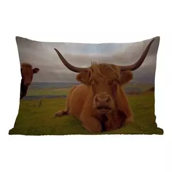 Подушка MuchoWow для улицы - Шотландский горец - Животные - Горы - 60x40 см - Устойчивость к атмосферным воздействиям - Подушка для отдыха - Чехлы для подушек - Декоративные чехлы для подушек - Декоративные чехлы для подушек, мультиколор