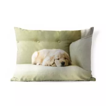 Подушка MuchoWow для улицы — Спящий щенок золотистого ретривера на диване — 50x30 см — Защита от атмосферных воздействий — Подушка для отдыха — Чехол на подушку — Хлопчатобумажная ткань — Декоративные наволочки, мультиколор