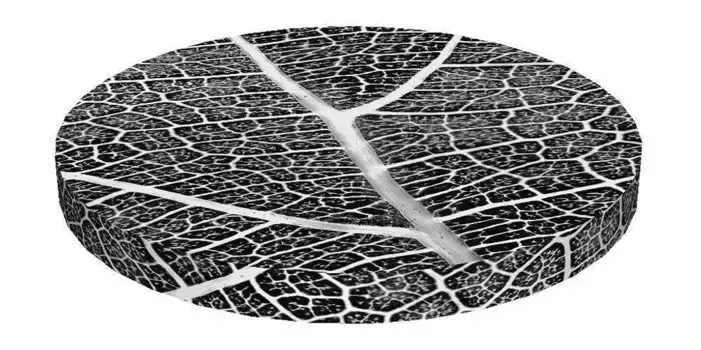 Подушка на стул Bertoni