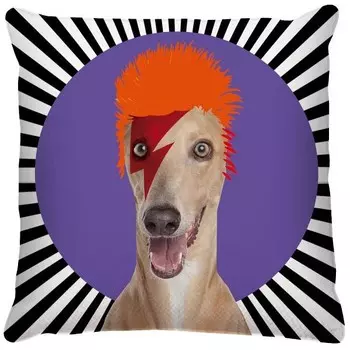 Подушка с цифровой печатью Ideallux, 40x5x40 см, многоцветный