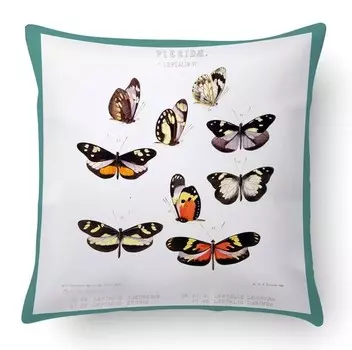 Подушка с цифровой печатью Ideallux, 40x5x40 см, многоцветный