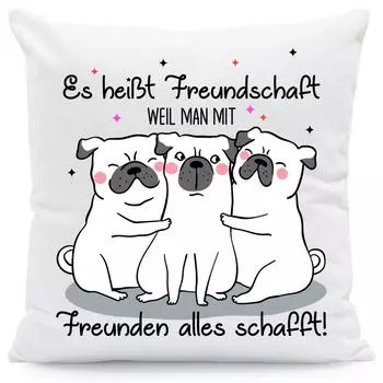 Подушка с принтом и надписью Это называется дружба: с наполнителем Gravurzeile
