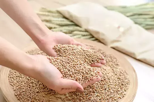 Подушка Sei Design