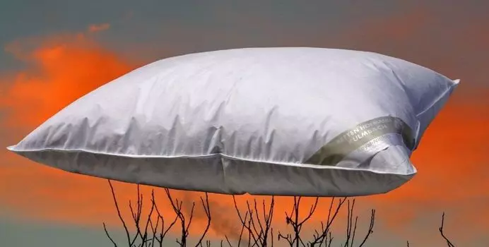 Подушка ШВЕЙЦАРИЯ подушка пуховая подушка 65х100 см 100% пух пушистый мягкий 700 г мягкий Betten Hofmann