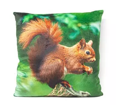 Подушка тканевая - белка - 35х35 Cornelissen