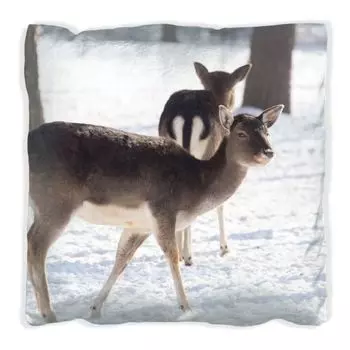 Подушка Wallario Premium, мягкая поверхность, с изображением двух молодых лосей в снегу в Аризоне, Америка, размер: 60 x 60 см, с белой спинкой