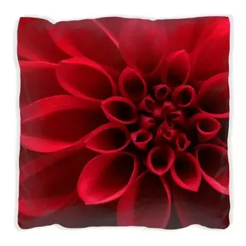 Подушка Wallario Premium, мягкая поверхность, с изображением красного цветка георгина крупным планом, размер: 60 x 60 см, с белой спинкой