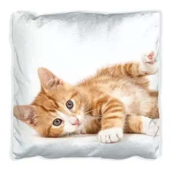 Подушка Wallario Premium, мягкая поверхность, с изображением милого кота с большими глазами - рыже-белый полосатый, размер: 40 х 40 см, с белой спинкой