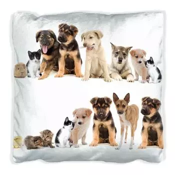 Подушка Wallario Premium, мягкая поверхность, с милым мотивом домашних животных - кошек, собак, хомячков, цыплят, размер: 60 х 60 см, с белой спинкой