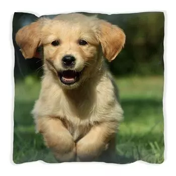 Подушка Wallario Premium, мягкая поверхность, с милым мотивом собачки - золотистого ретривера, размер: 60 x 60 см, с белой спинкой