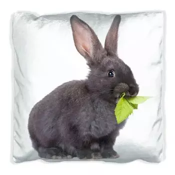 Подушка Wallario Premium, мягкая поверхность, с милым мотивом кролика, который ест зелень, размер: 60 x 60 см, с белой спинкой