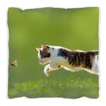 Подушка Wallario Premium, мягкая поверхность, с милым котиком, ловящим бабочку, с зеленым мотивом, размер: 60 x 60 см, с белой спинкой