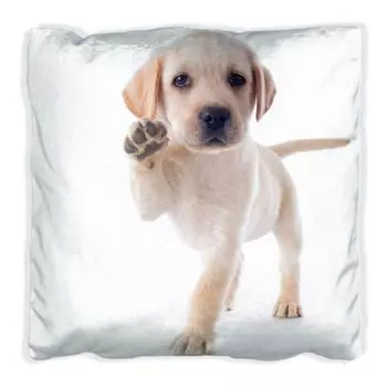 Подушка Wallario Premium, мягкая поверхность, с милым щенком лабрадора, говорящим привет, размер: 60 x 60 см, с белой спинкой