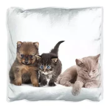 Подушка Wallario Premium, мягкая поверхность, с мотивом щенка и котенка, размер: 40 x 40 см, с белой спинкой