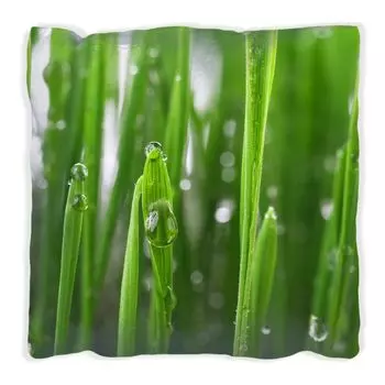 Подушка Wallario Premium, мягкая поверхность, с мотивом «капли воды на травинках», размер: 40 х 40 см, с белой спинкой