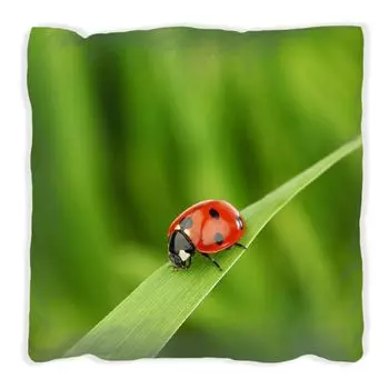 Подушка Wallario Premium, мягкая поверхность, с мотивом божьей коровки на зеленом листе, размер: 60 x 60 см, с белой спинкой